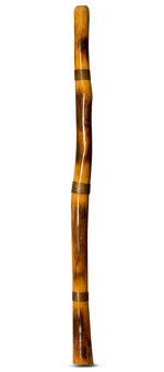 Rope & Burnt Finish Didgeridoo (TW489)